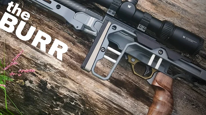 RUGER 10/22 Custom Build | Grey Birch Solutions / Volquartsen