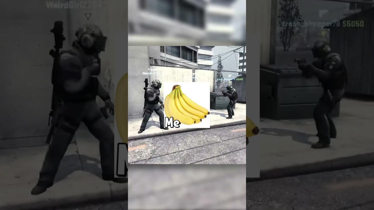 How To Fix Dumb People 🏏