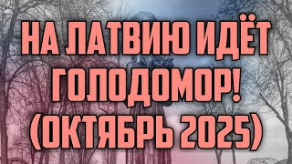 :   Ĩ ! ( 2025) |  