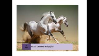 BEST HORSES LIVE WALLPAPER HD screenshot 1