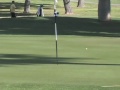 #81 CCU Men's Golf