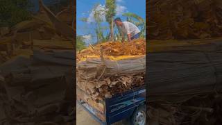 Mungkin Menurut Mu iki Mung Sampah Bahkan Gak enek Regane , Tapi menurutKu iki Duwek π€ͺβοΈ Mungkin Menurut Mu iki Mung Sampah Bahkan Gak enek Regane , Tapi menurutKu iki Duwek π€ͺβοΈ