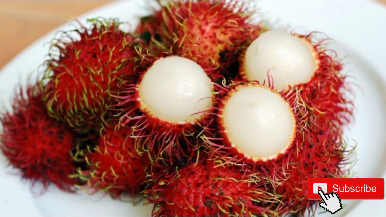 рамбутан фрукт. рангутан фрукт. рангутан фрукт. тропический фрукт рамбутан. рамбутан фрукт.