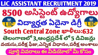 LIC Assistant Recruitment 2019 || LIC Assistant jobs Notification 2019