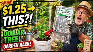 10 Things You SHOULD Be Buying at Dollar Tree in April 2026🤩🔥