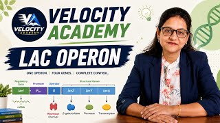 Lac Operon Complete Revision 💯 | Molecular Basis of Inheritance | Velocity Academy | #reneet