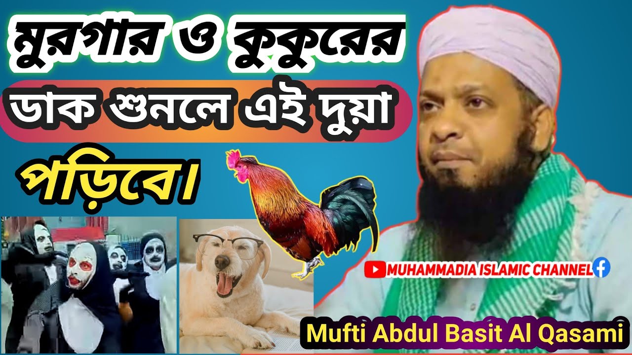 কুকুর ও মুরগায় ডাকে কেন?|| Maulana Mufti Abdul Basit Al Qasimi Waz 2025 || মুফতি আব্দুল আল ক্বাছিমী