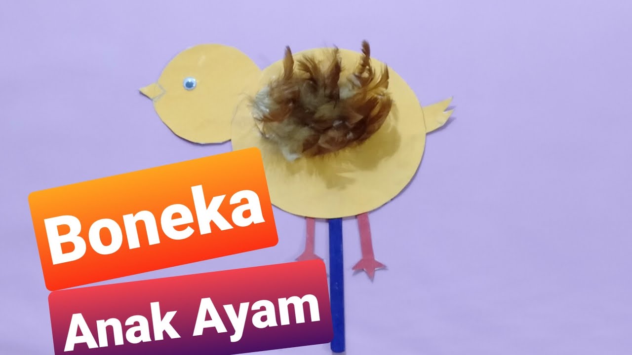  Boneka  Anak  Ayam  Kerajinan  Tangan dari  Kardus Bekas Cara 