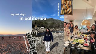 packing in all the quality time at home ♡˚⟡ exploring sf, sequoia cabin trip w/ friends