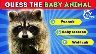 Guess The Baby Animal in 5 Seconds  | Quiz Show