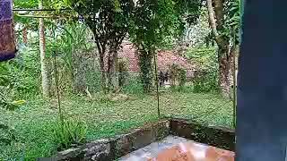 DONGENG SUNDA SILUMAN LEUWI KONDANG PART-50