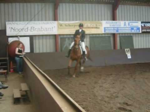 Dressuur Kevin de wildt & Mercillia D