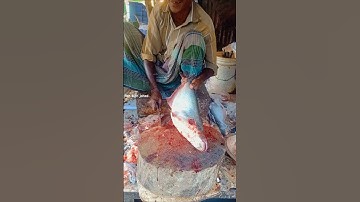 Huge Pangas Fish Cutting and Cleaning Process 😊 #shorts #shortsfeed