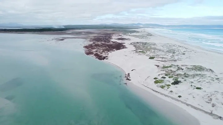 Hermanus - Klein River lagoon. 3 weeks after opening to the sea