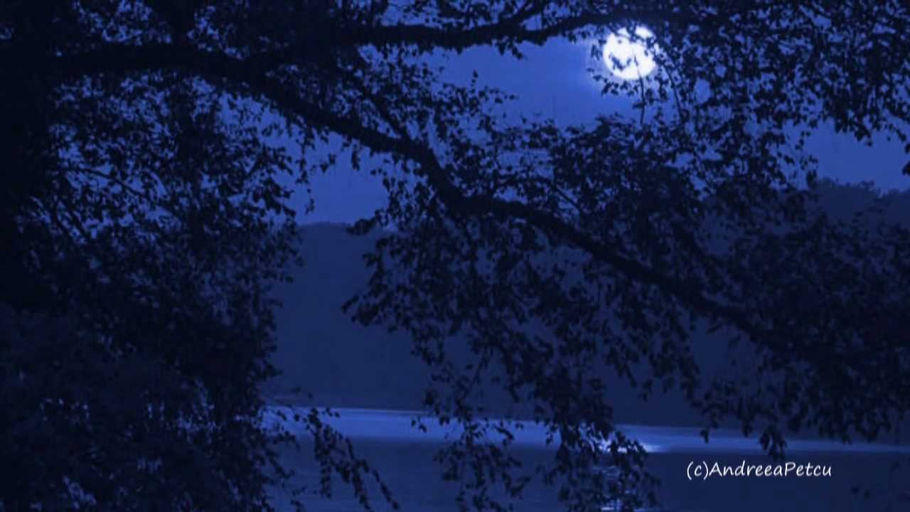 GIOVANNI MARRADI - Nocturnes - YouTube