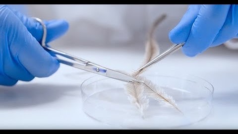 Practical experience that is fully integrated into your course – PACE