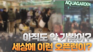 전지적 가평 시점ㅣ세상에 이런 오픈런이?#아쿠아가든#아쿠아카페#aqua#신비동물원#가평#aquarium