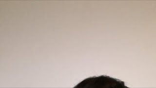 フナの動画
