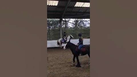 Whoever guesses his hight correctly gets a shout-out 🤭🤭🤫🤫