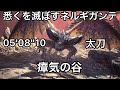 [MHWI] 悉くを滅ぼすネルギガンテ 太刀 05'08''10