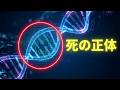 デリダ： 性と死は生命の拡張パックだった
