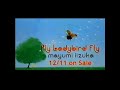 CM 1998 飯塚雅弓 Fly Ladybird fly