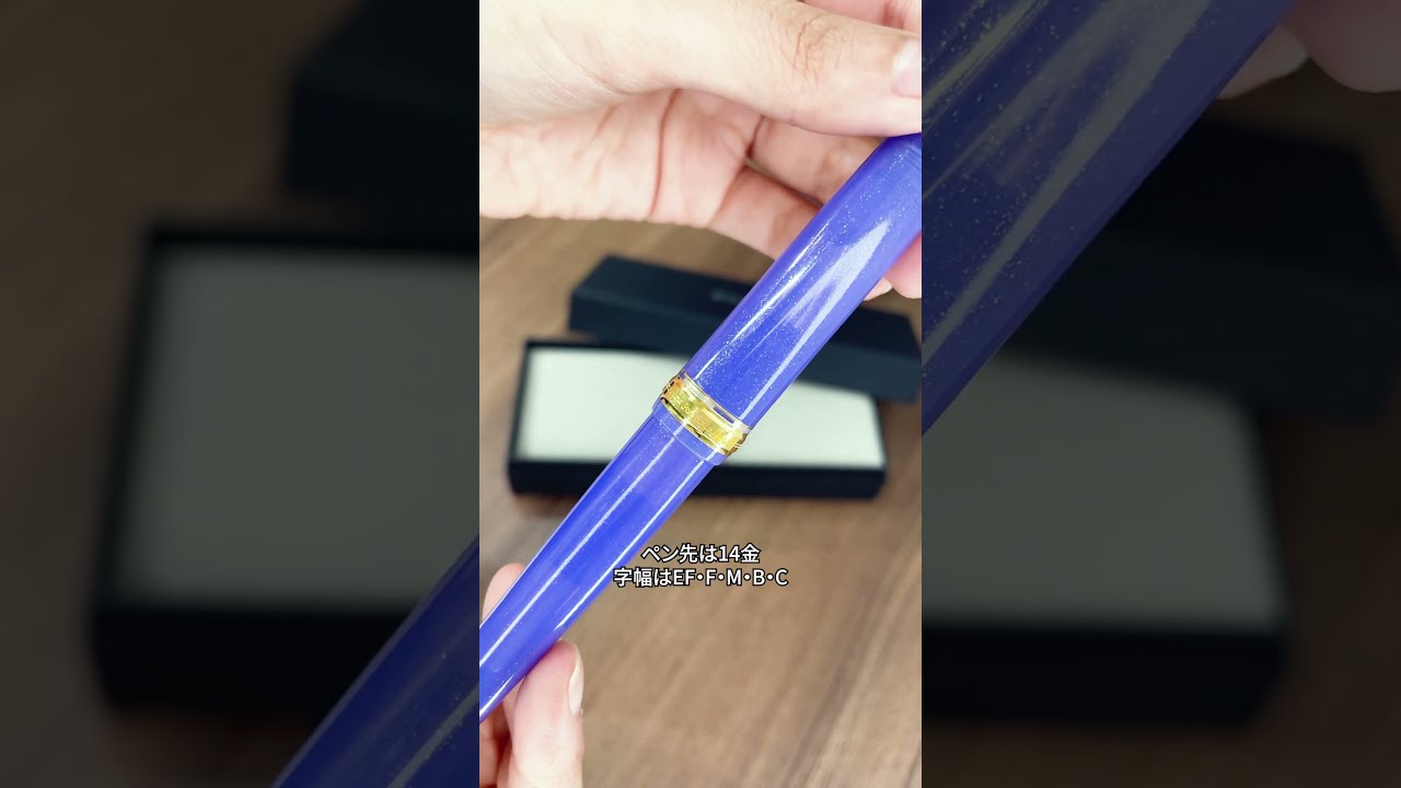 六甲シチダンカ 極細 EF センチュリー プラチナ万年筆 ナガサワ