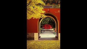 Cố cung vào mùa thu