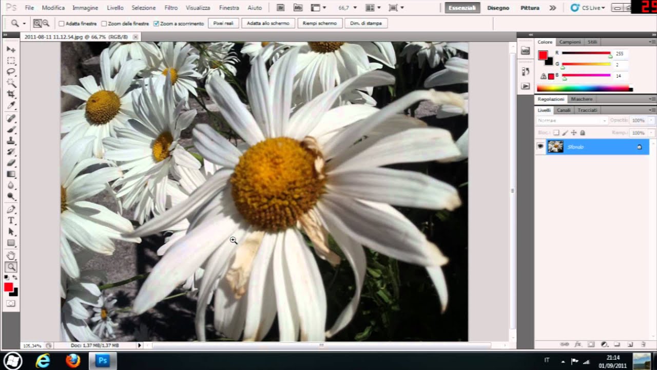 CORSO COMPLETO PHOTOSHOP CS5 2011 ITA SCARICARE