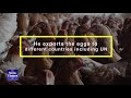 Musabyimana’s chicken farm in Bugesera