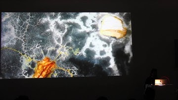 Claudia Pasquero - Staedelschule Architecture Class (SAC) Lecture Series - Summer, 2016