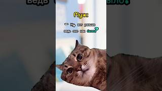 Мемные коты #мемы#мем#юмор#приколы#рек#рекомендации