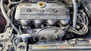 Finding out if the 1997 Ford Escort I just bought has a blown head gasket