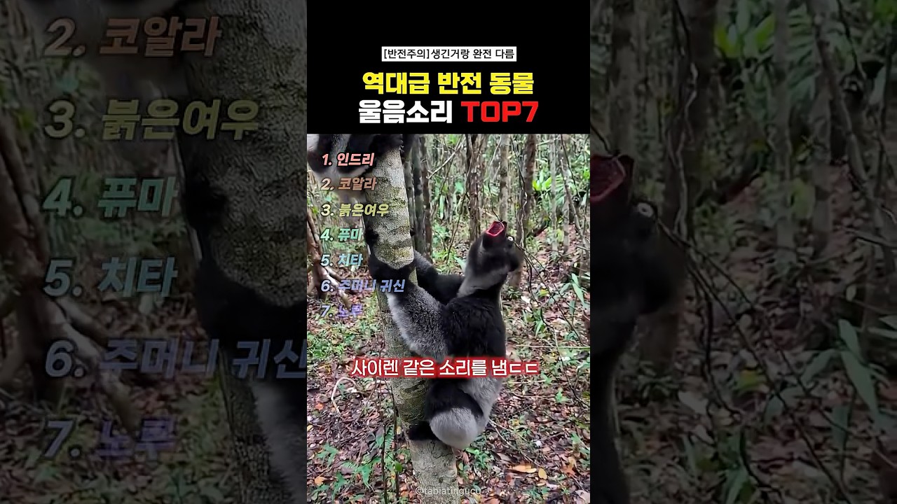 역대급 반전 동물 울음소리Top7