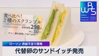 代替卵のサンドイッチ発売　ローソン 供給不足で開発【WBS】（2023年6月30日）