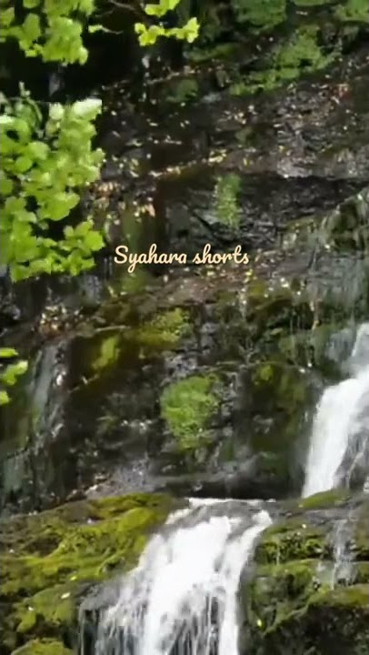 Happy Asmara - Top Topan #shorts #comment #share #subscribe