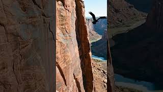 THIS PLACE DOESN’T FEEL REAL 😳🏜️ | Zion National Park 4K Loop 🔁
