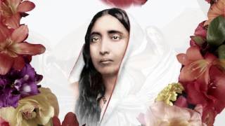 Mayer Kotha