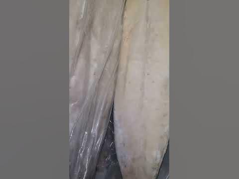 Риба масляна філе - YouTube