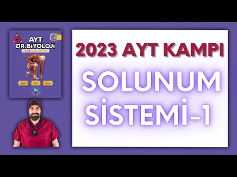 Solunum Sistemi-1 AYT Biyoloji Kampı Konu Anlatımı/ 11.Sınıf 2024 Tayfa