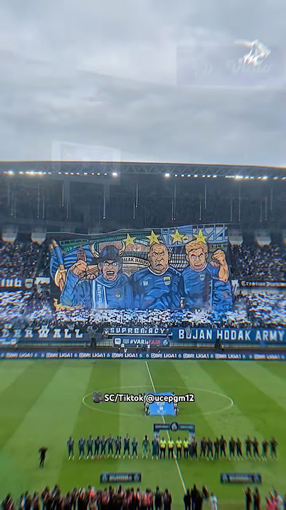 Koreo indahhhh 🙌🏻💙 #koreo #bobotoh #persib #persibbandung #persibjuara #shorts