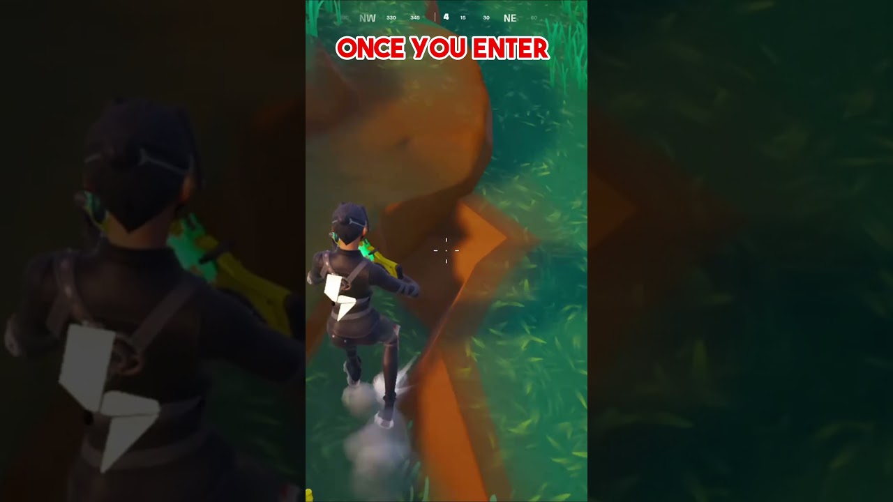 Most Toxic Glitch in Fortnite... 