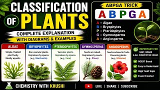 Classification of Plants | Bryophytes, Pteridophytes, Gymnosperms & Angiosperms | Complete Botany