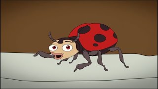 Every Ladybug Appearance - Big Mouth