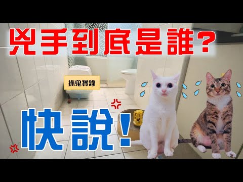 【豆漿 - SoybeanMilk】家裡鬧鬼了 你猜的到兇手是誰嗎？