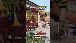 Do Not Click The Sound