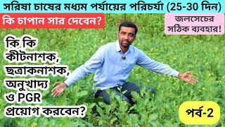 Yopiq külotlu porno videolar