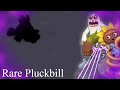 My Singing Monsters: Rare Pluckbill (FAN MADE) 🐻🦷🟢