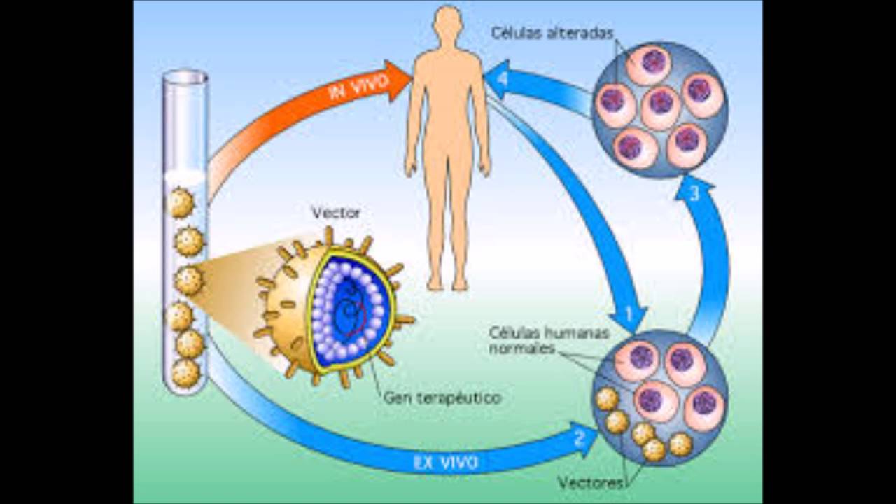 Ingenieria Genetica Que Es Que Estudia Campo Laboral Y Mas