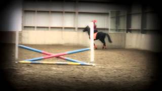 Jump Oefenspringparcourtje Met Unique